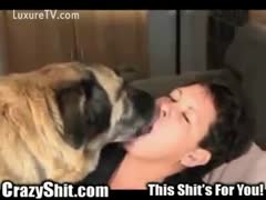 Pleasing girl making out with a dog for her spouse 